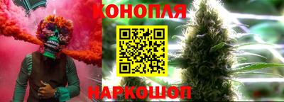 бошки Владимир