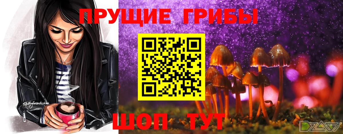 Псилоцибиновые грибы Magic Shrooms Амурск
