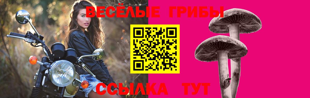 как найти закладки  Галлюциногенные грибы прущие грибы  Вход с VPN  Амурск 